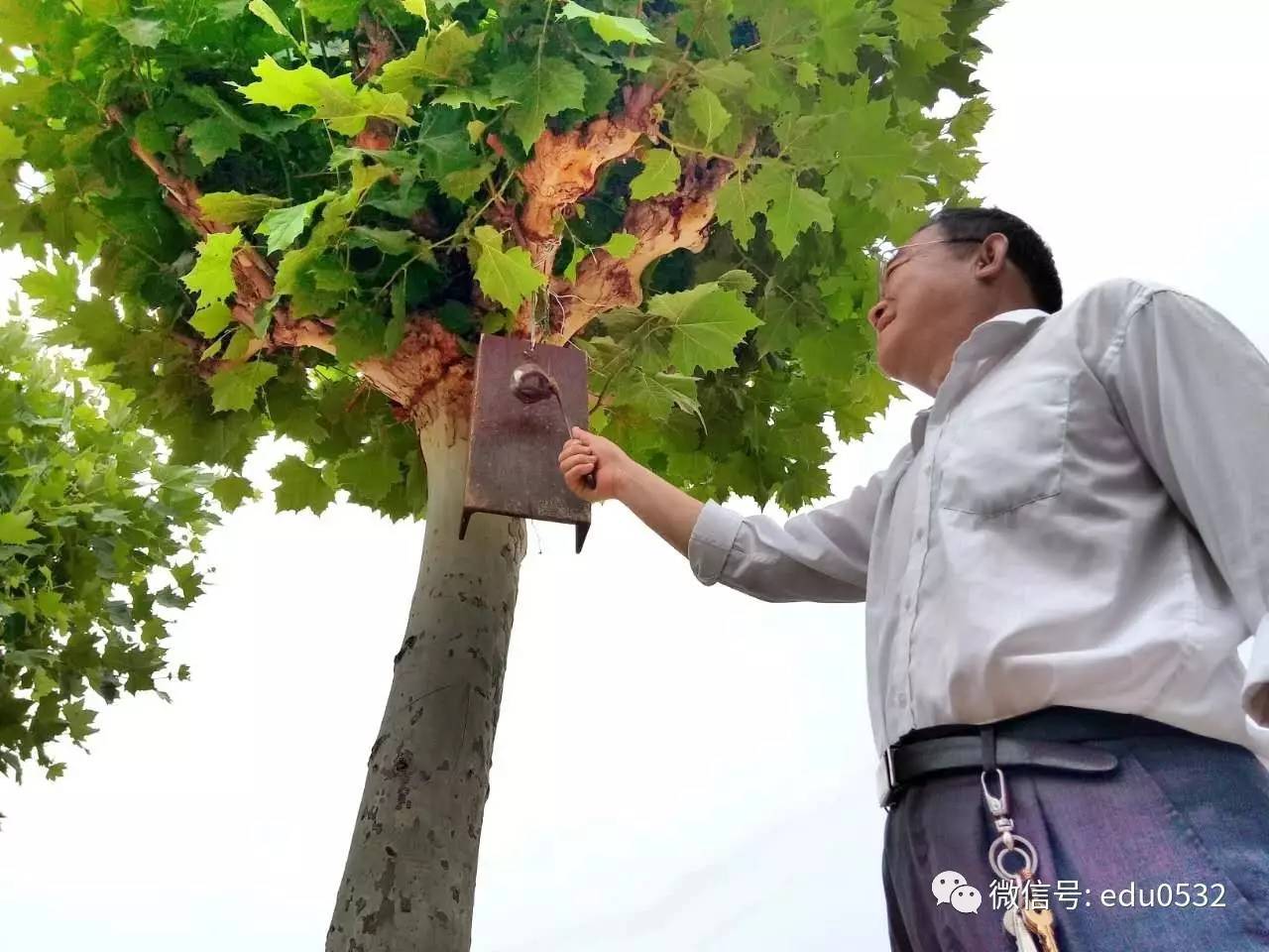 汇探考没有陪考家长敲钟作为考试信号即墨莱西两考点学生平静度过中考