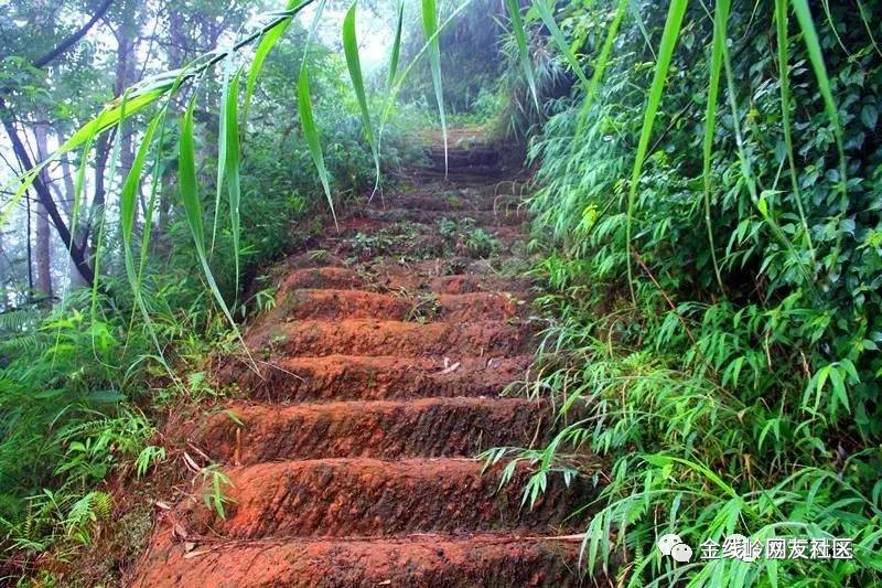 在胜天镇红岩山,尚有许多保存完好的以五尺为标准的道路,虽掩于草丛中