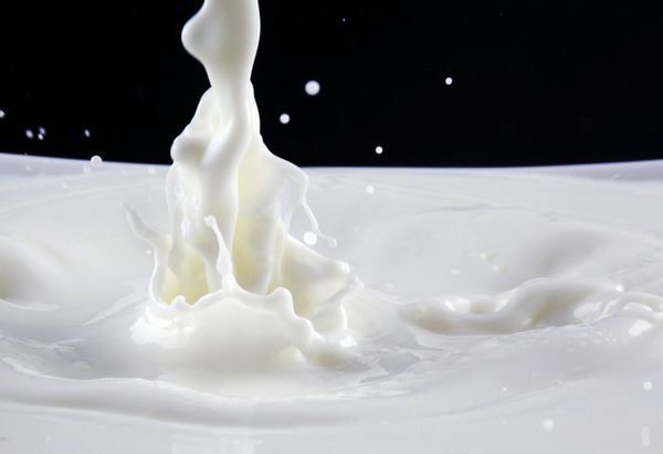 洁肤又美肤润库分享牛奶美容6法