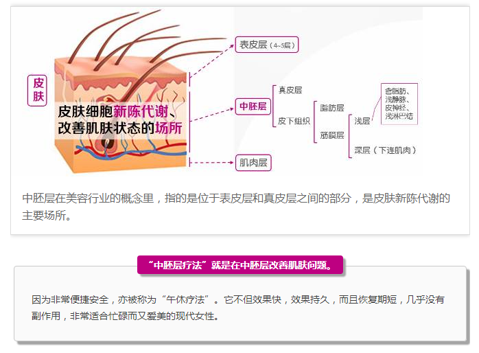 yon'age|人人都在说的"中胚层疗法",你了解吗