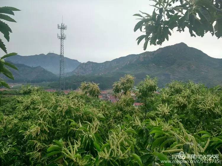 遵化多少人口_遵化到广西多少公里