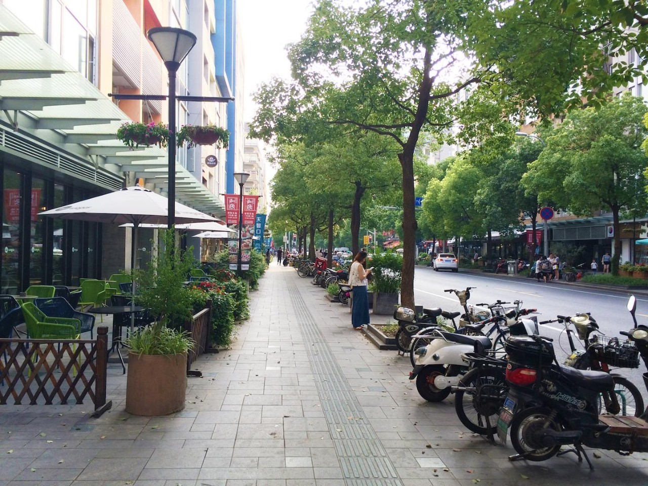杨浦这2条路被评为上海人心目中的最美街道!
