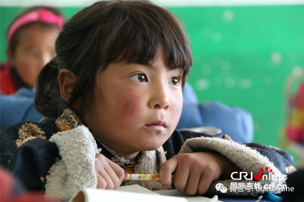 【砥砺奋进的五年】牧区藏族小学生专注的眼神 徜徉知识之海