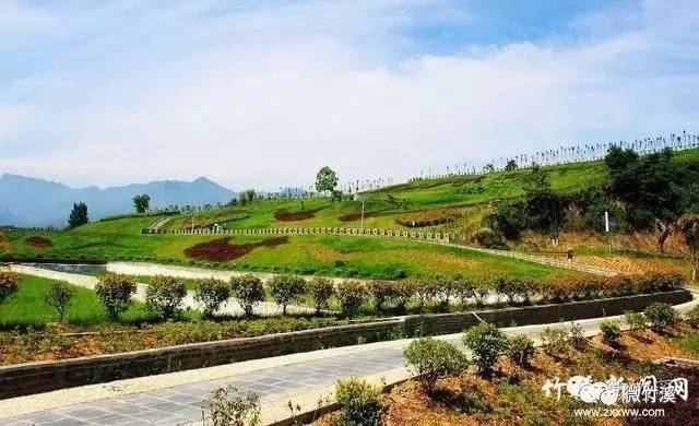 贡米种植示范基地,双竹生态食品开发有限公司,龙坝镇龙湖湿地公园等地