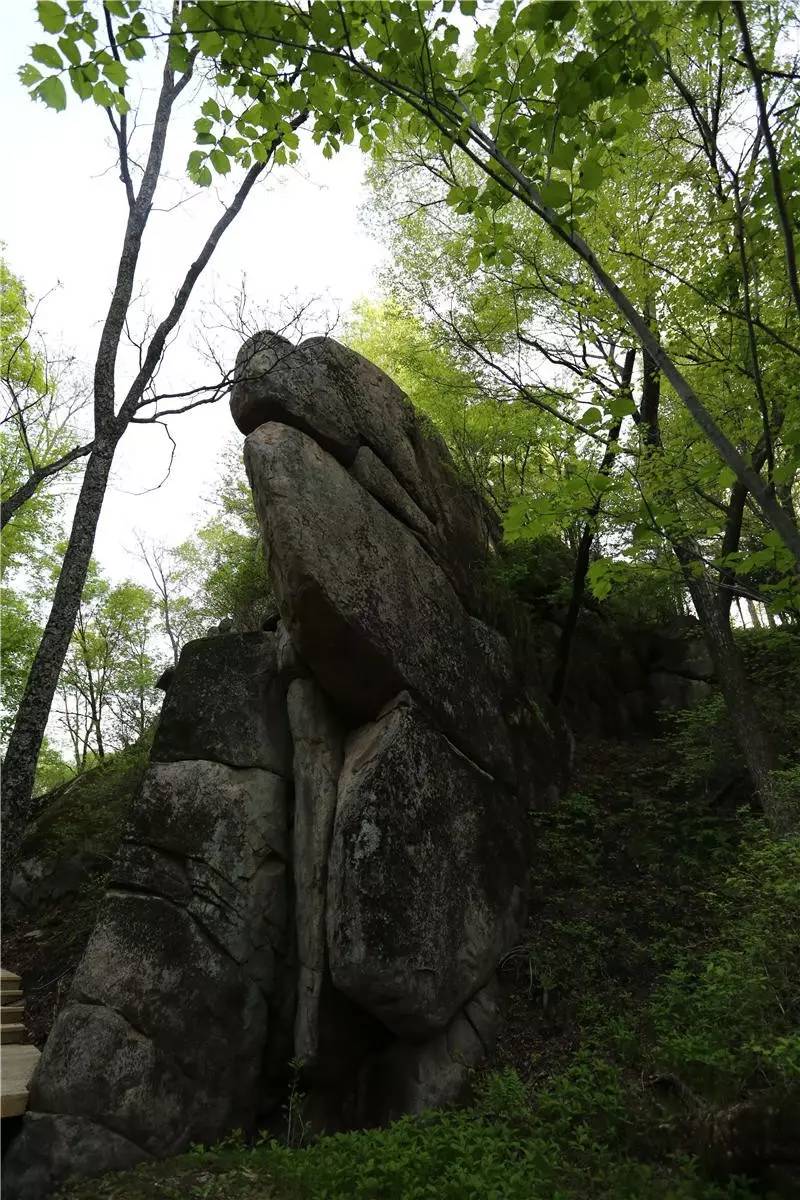 绥棱原始部落人文森林旅游景区