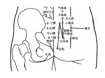 督脉图_督脉穴位图 预防和主治疾病_督脉的作用