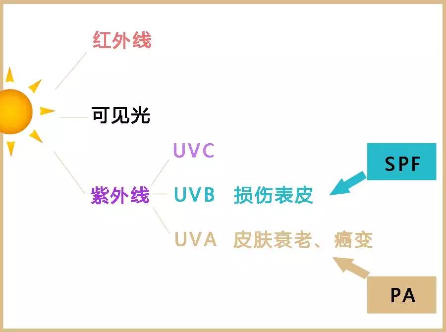 特别是短波光谱部分,对我们人体造成伤害的紫外线主要是uvb和uva