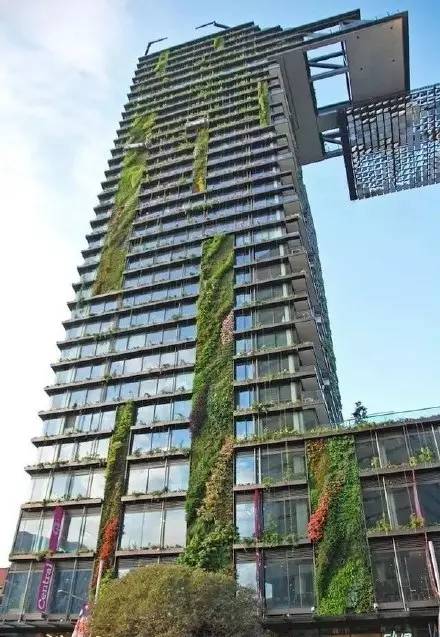 垂直花园设计为生活带来满满绿意!