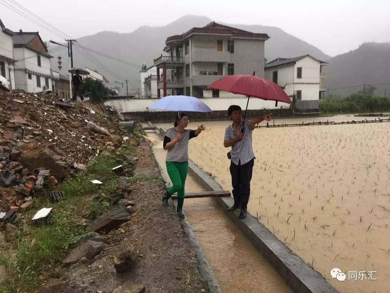 富顺县街道及乡镇人口_夜晚街道图片(3)