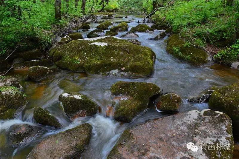 绥棱原始部落人文森林旅游景区