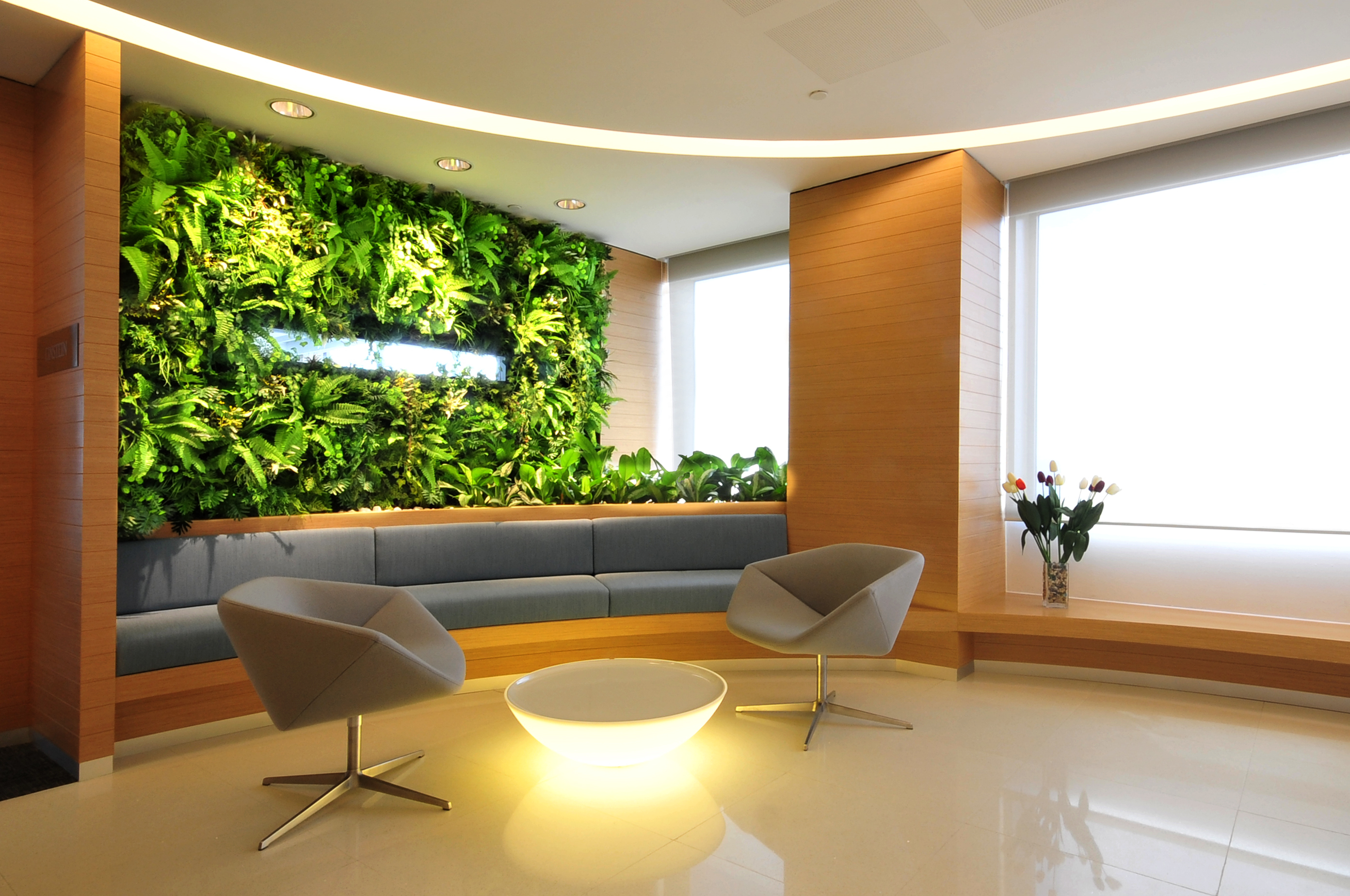 2019垂直立体绿化植物墙做法 - 知乎