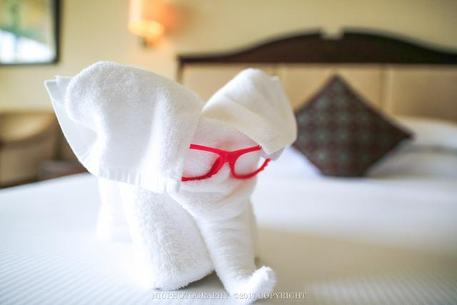 床上用毛巾折的小象也是非常的可爱.