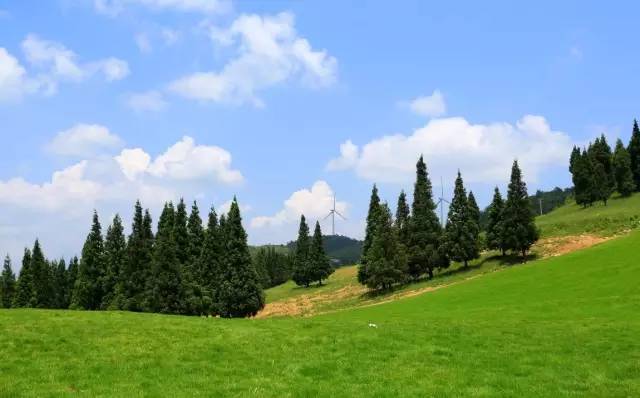 旅游 正文 岐山草场海拔高度在1000米到1650米之间,为喀斯特中山.