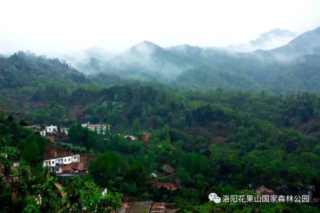 带上准考证 免费畅游宜阳花果山