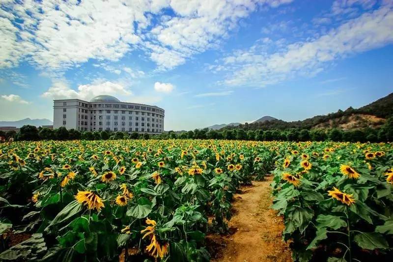 贵州多少人口2017_对的时间,对的人 记2017贵州屋脊韭菜坪露营活动(3)