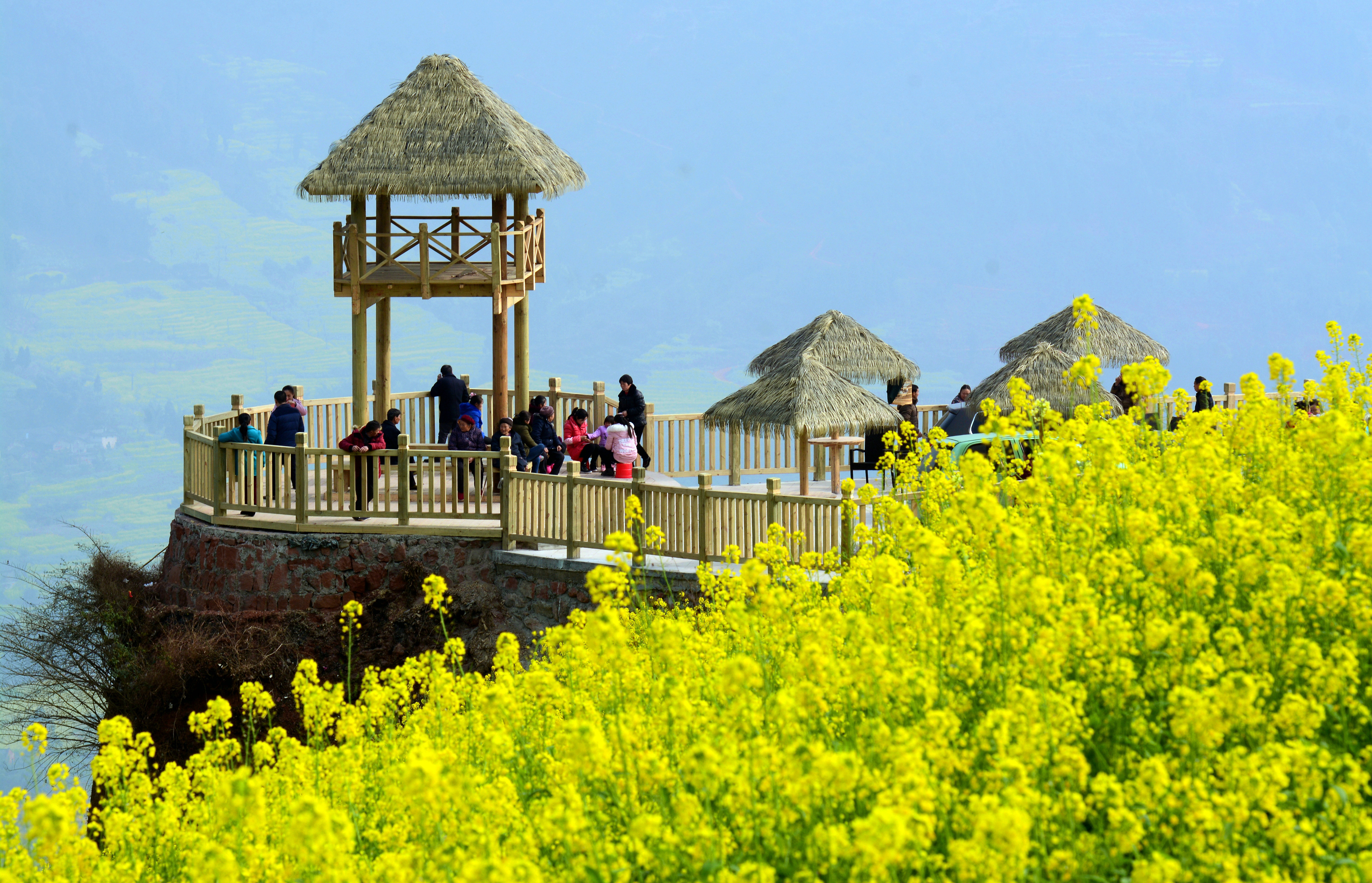 四川最美乡镇川南最早春天—中都万亩油菜花海纪实