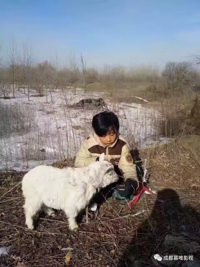 【星61推荐】酷炫星宝—刘昊宸