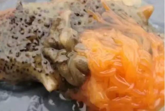 美食 正文 海参花即鲜食海参的肠和卵,也就是海参的内脏.