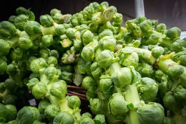  "Delightful Sauteed Brussels Sprout Recipe: A Flavorful Side Dish That Will Have Your Taste Buds Dancing!"