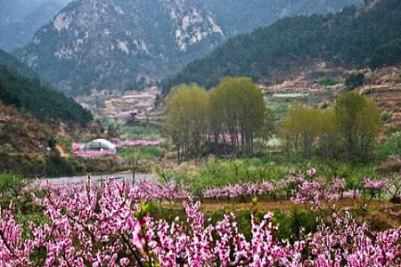 到里口山风景区和海水浴场仅10分钟("二木花园"就位于里口山生态园内