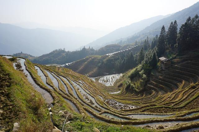 龙胜大王叫我来巡山呐