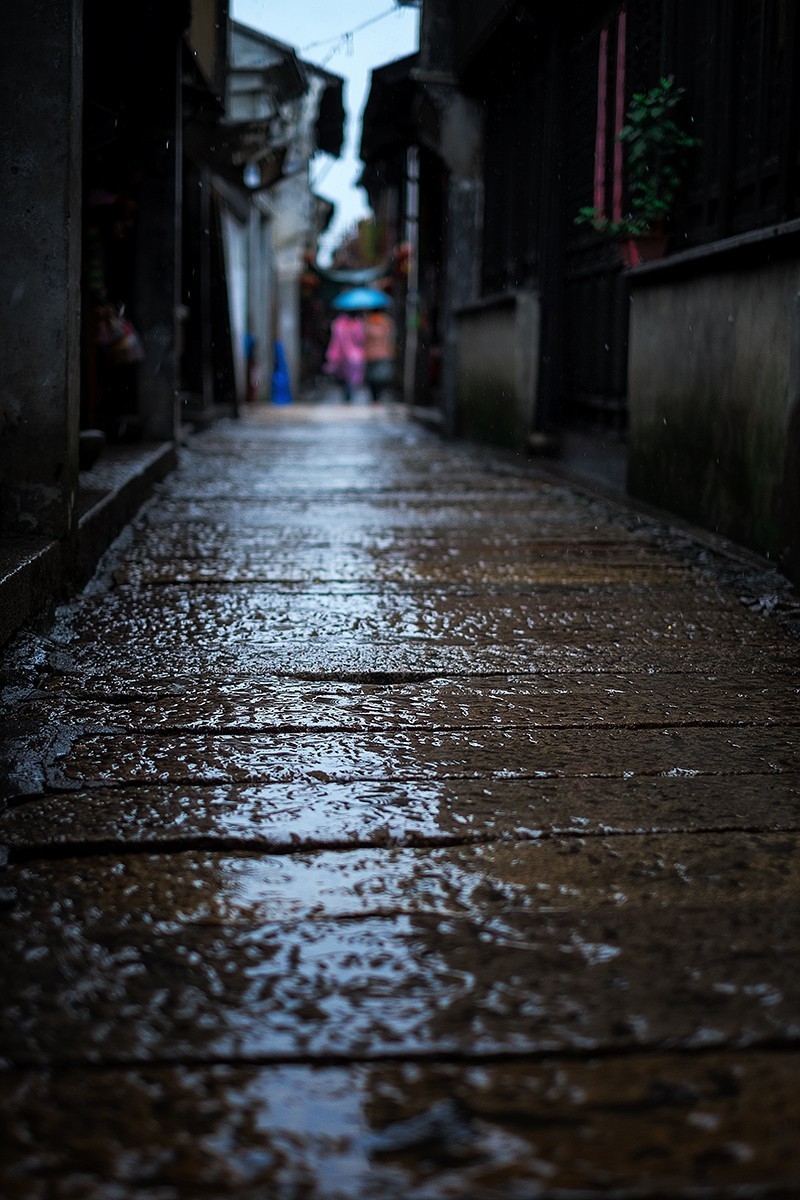 看见:梅雨时节里的江南诗意