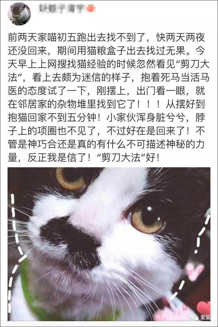 剪刀大法能找回猫我信了