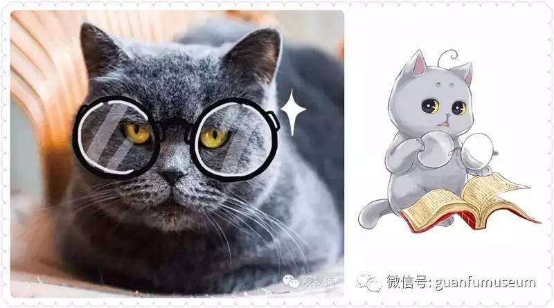 这个观复猫的漫画,讲猫与猫之间,它是个江湖.然后猫与人的关系.