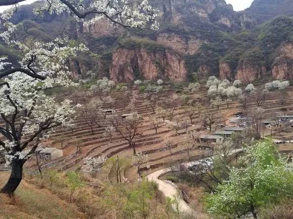 石板路大滩村最美的是梯田,梨花,老屋和石板路.小山村宁静而安逸.