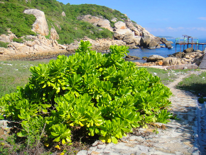 【组图【海南玩法推荐】牛车湾,三亚最后的处女地