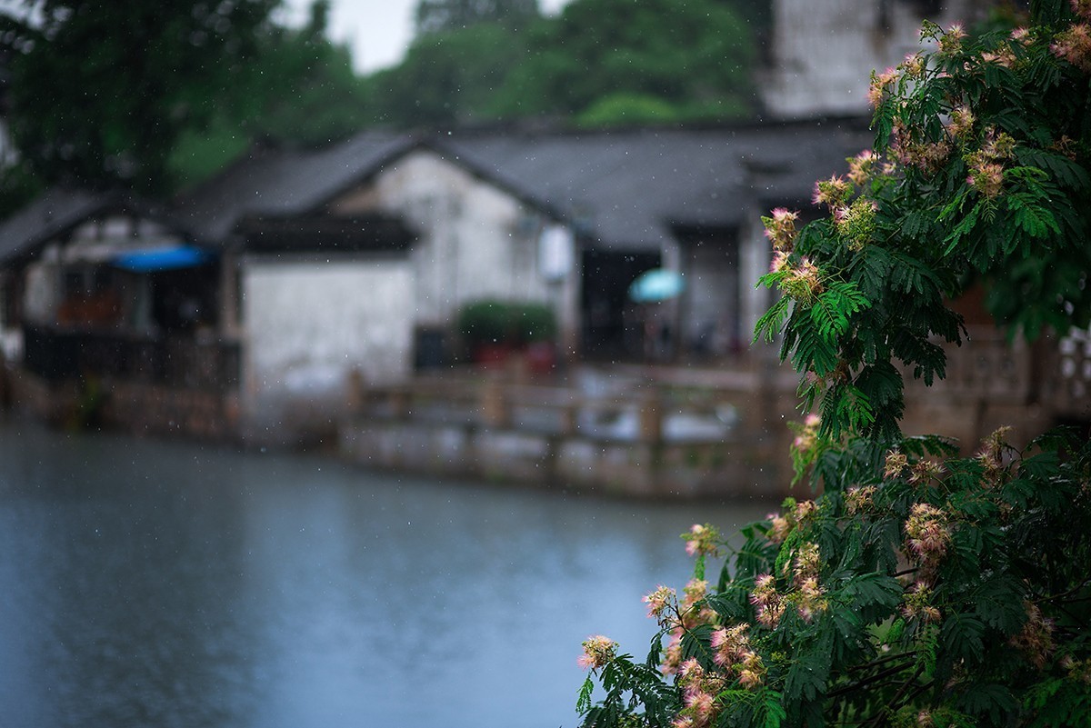 看见:梅雨时节里的江南诗意