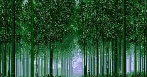 一座被赞誉金山银山就是绿水青山的竹乡