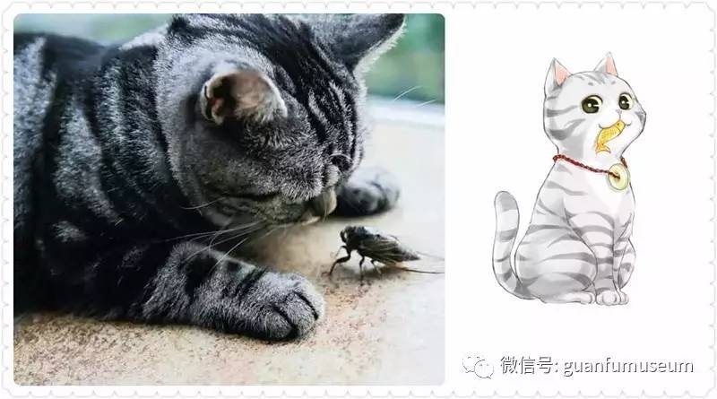 猫圈的原理_如图所示为一种早期发电机原理示意图,该发电机由固定的圆形线圈和一对用铁芯连