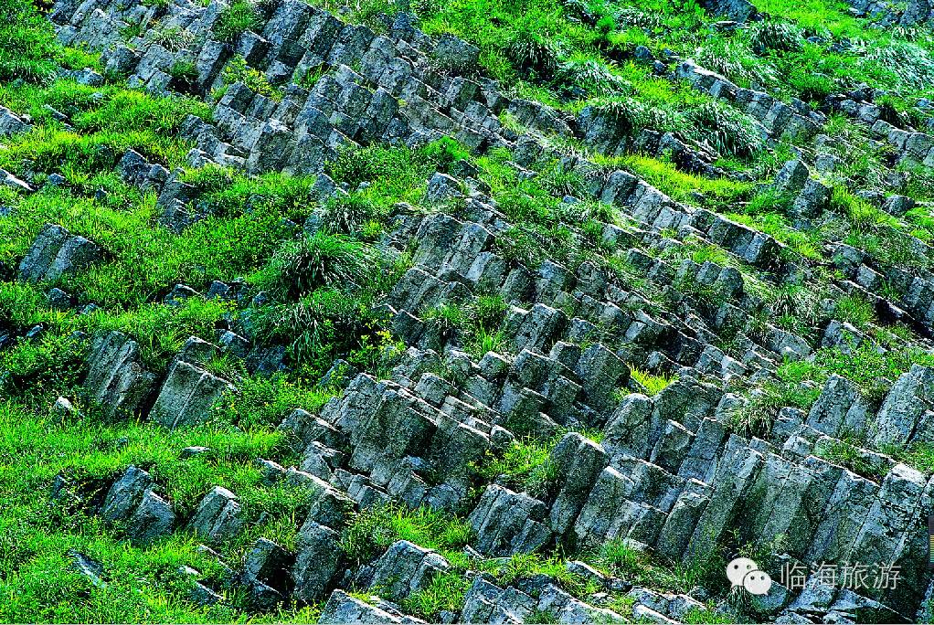 临海大火山位于桃渚城东南连盘大堪头村,分布面积达5平方公里.