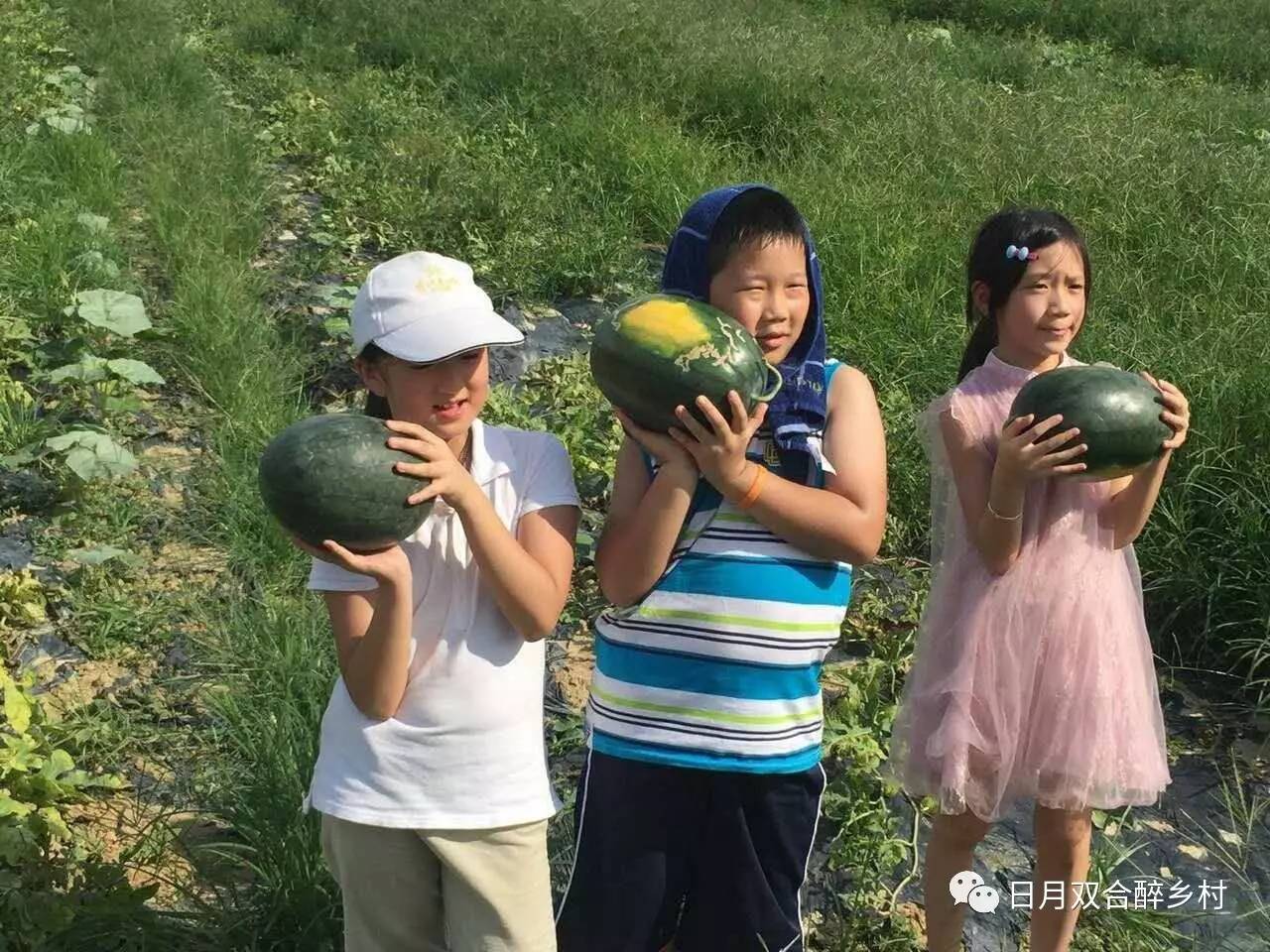 西瓜女孩素材-西瓜女孩模板-西瓜女孩图片免费下载-设图网