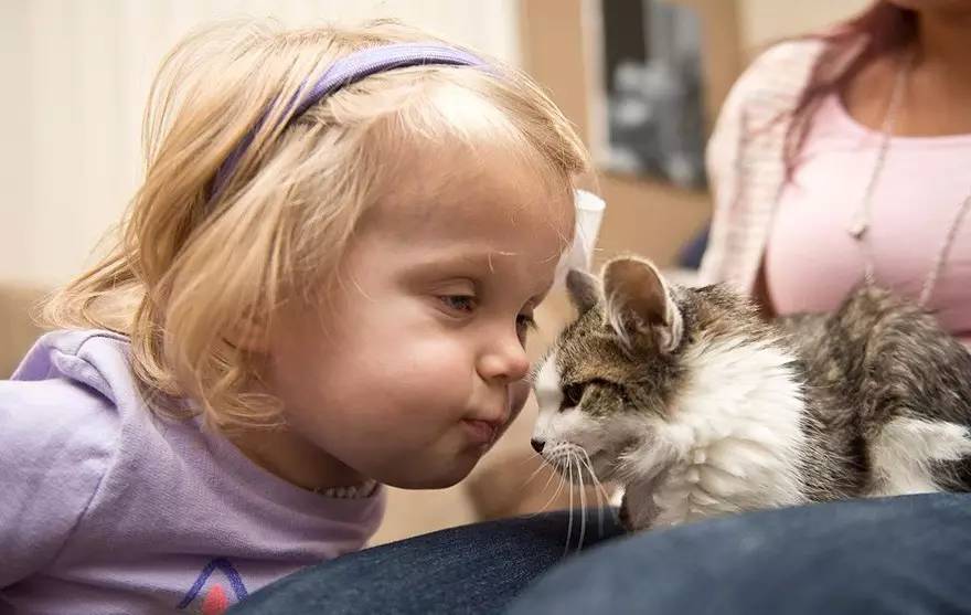 小女孩生病不幸被截肢!爸妈带了只跟她一样的小猫出现