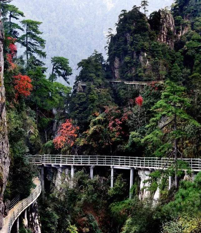 景区位于全国著名的5a级风景名胜区井冈山的南大门,景区内以纯天然的