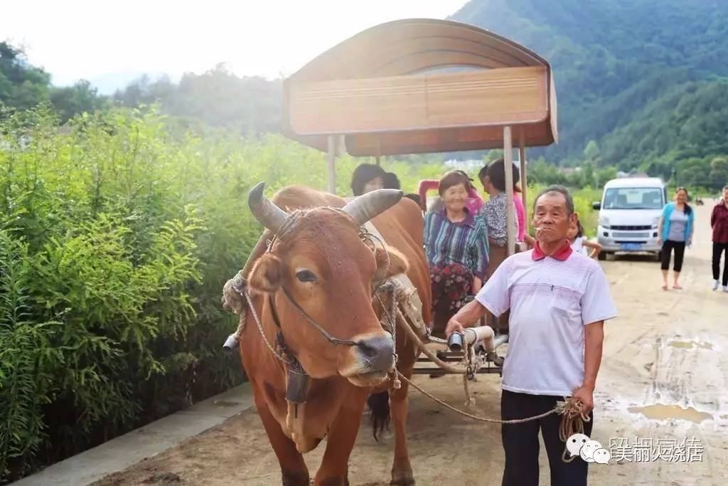 俺们村的老黄牛表示很高兴为大家服务哟.