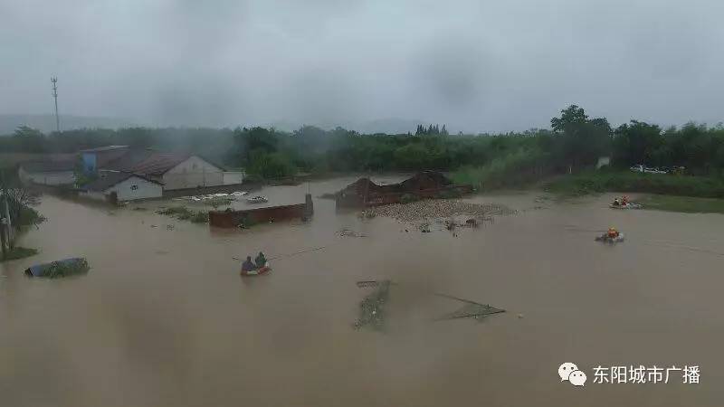 奇葩连降暴雨东阳这些人却在巍山赶7000只鸭子