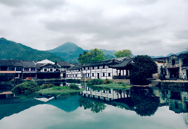 丽水有多少人口_今天,副省长梁黎明飞一千多公里专程为 她 站台, 她 到底有什(2)