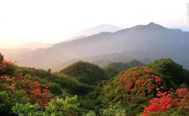 滔溪镇百花寨.