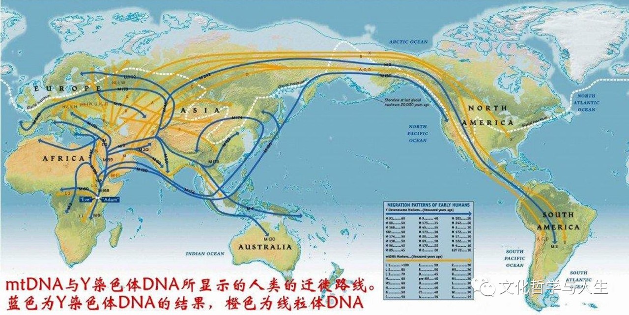 非洲现人口_非洲人口图片(3)