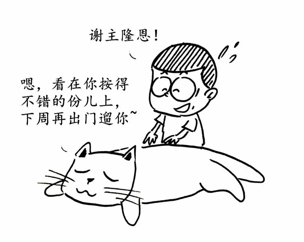 只听说过遛狗的为什么没有遛猫的