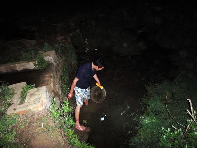 藻泽地里夜钓龙虾,没钓多少就被吓回家