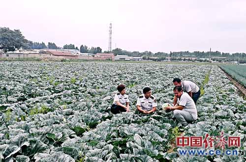 焦家庄人口_汾阳贾家庄图片