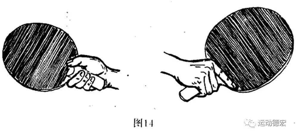 体育小知识——乒乓球握拍方法(图解)