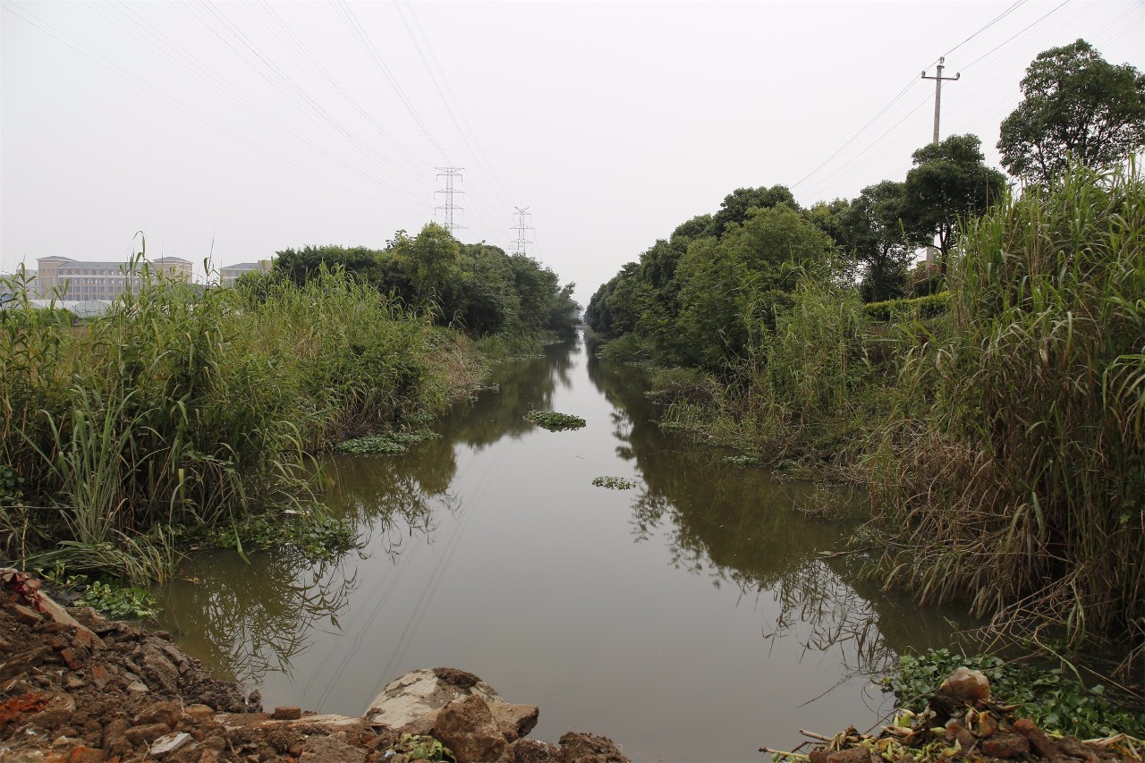 临港头条│河道清澈起来,临港开发区南横沟河整治按下