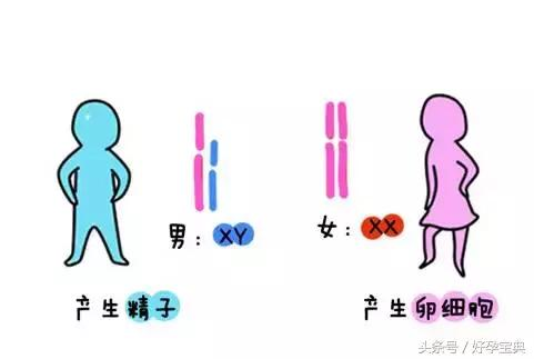 的上天赐予,不过如果有意愿,可以选择受孕季节,年之中以七,八月份怀孕