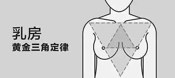 传说中完美胸型如下,两个肩点和乳头以及锁骨窝之间的连线必是等边