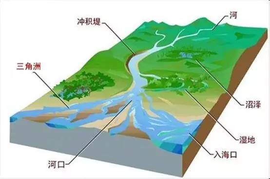 来看看咱 泥沙大户 ——黄河的三角洲,知道为什么中国大部分地区看不